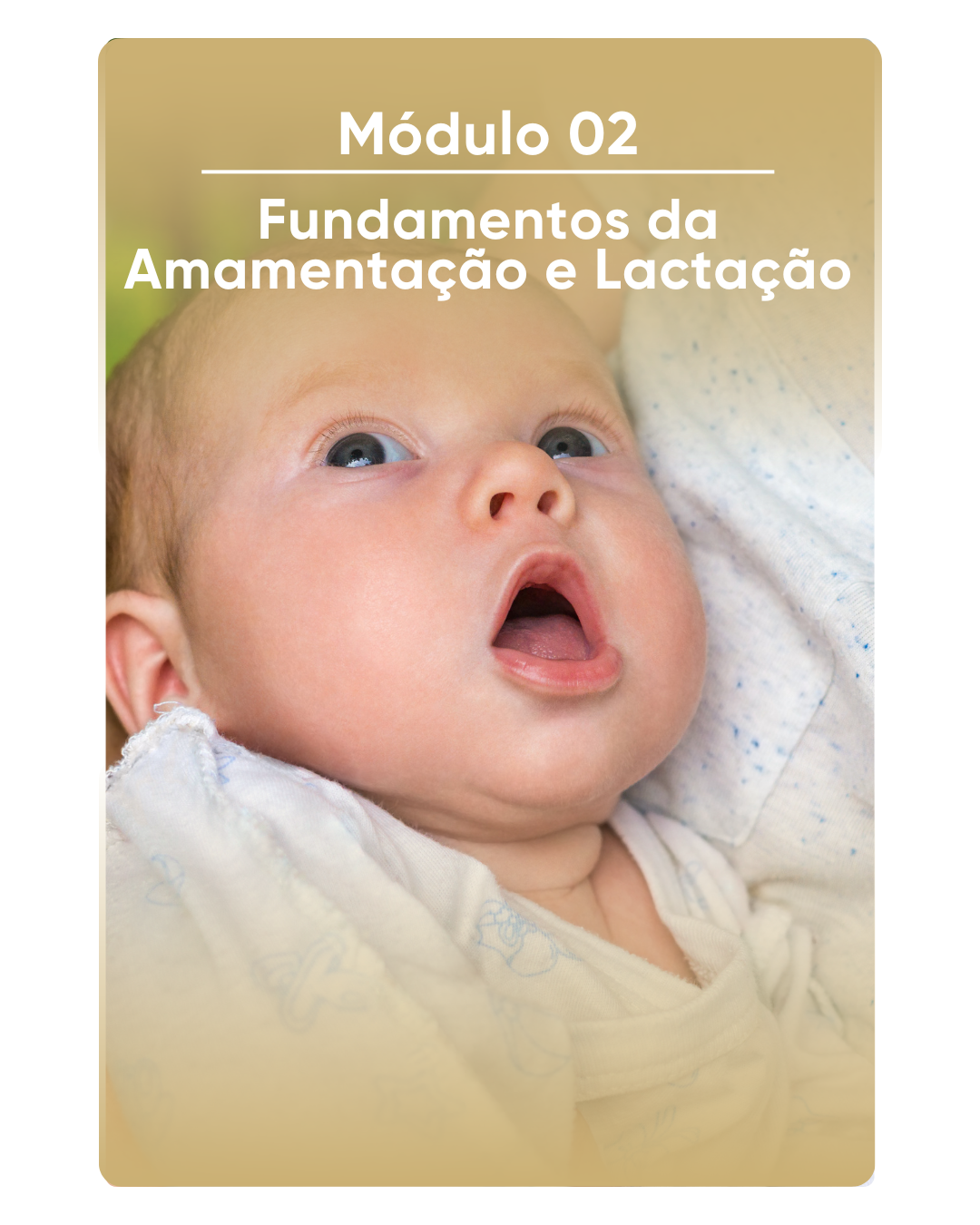 Imagem 2 do curso