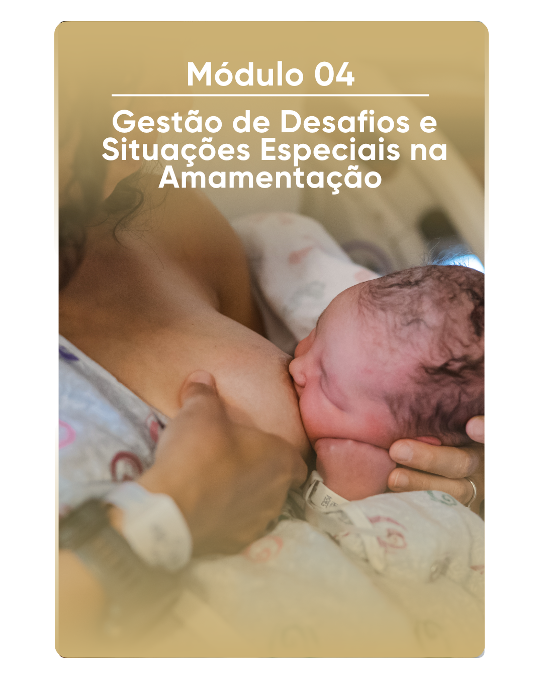 Imagem 4 do curso